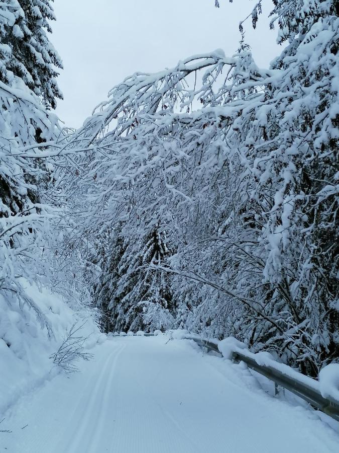 Mooshof Lejlighed Kaunertal Eksteriør billede